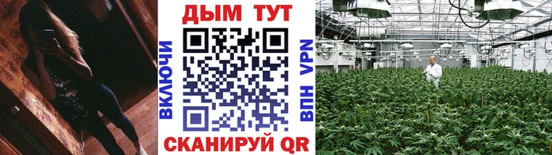 Бошки марихуана White Widow  Бакал 